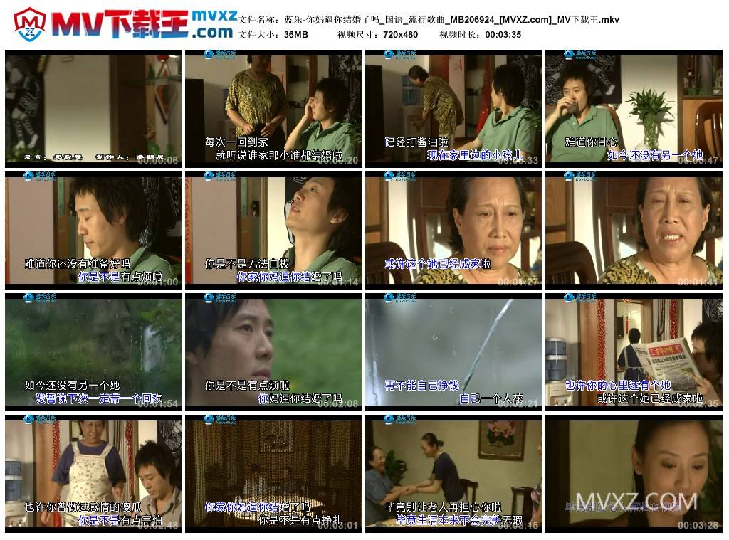 蓝乐-你妈逼你结婚了吗_国语_流行歌曲_MB206924